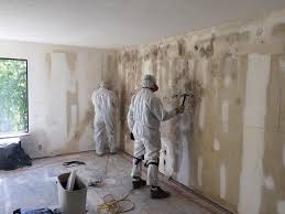 Best Environmental Consulting for Mold Prevention  in Round Lake Beach, IL